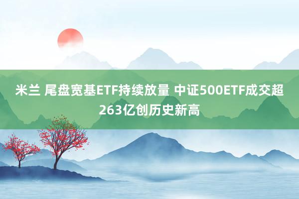 米兰 尾盘宽基ETF持续放量 中证500ETF成交超263亿创历史新高