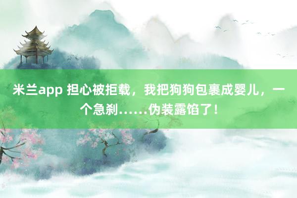 米兰app 担心被拒载，我把狗狗包裹成婴儿，一个急刹……伪装露馅了！