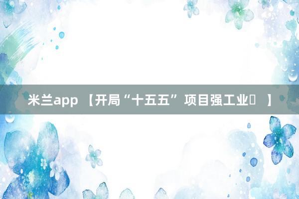 米兰app 【开局“十五五” 项目强工业㉖ 】