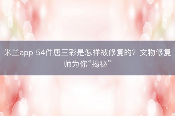 米兰app 54件唐三彩是怎样被修复的？文物修复师为你“揭秘”