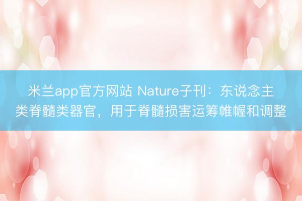 米兰app官方网站 Nature子刊：东说念主类脊髓类器官，用于脊髓损害运筹帷幄和调整