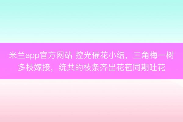 米兰app官方网站 控光催花小结，三角梅一树多枝嫁接，统共的枝条齐出花苞同期吐花
