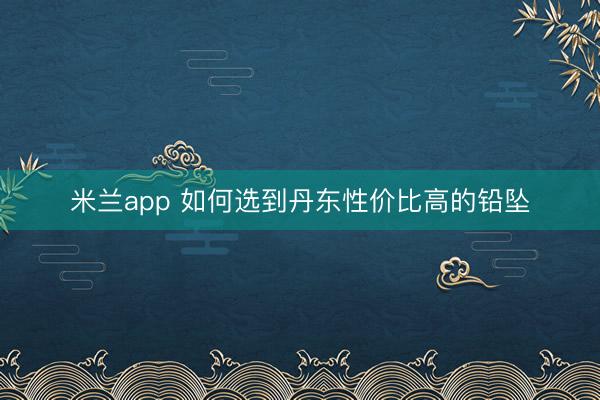 米兰app 如何选到丹东性价比高的铅坠