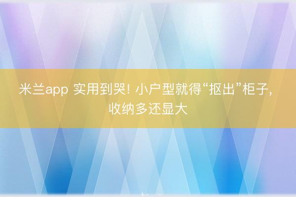米兰app 实用到哭! 小户型就得“抠出”柜子， 收纳多还显大