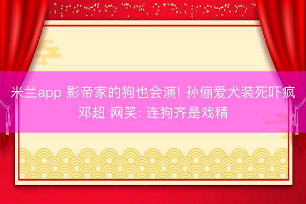 米兰app 影帝家的狗也会演! 孙俪爱犬装死吓疯邓超 网笑: 连狗齐是戏精