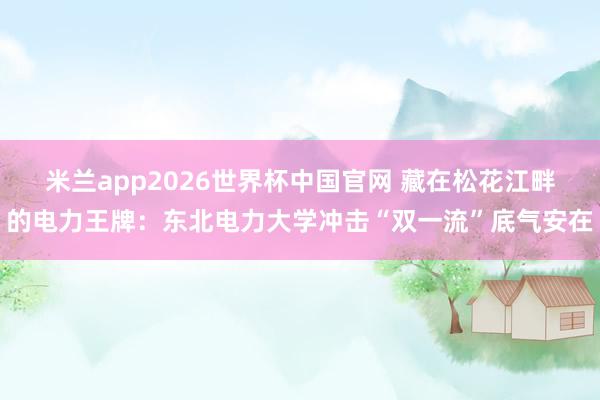 米兰app2026世界杯中国官网 藏在松花江畔的电力王牌：东北电力大学冲击“双一流”底气安在