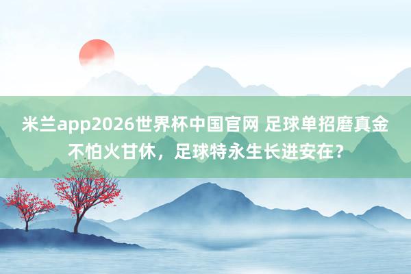 米兰app2026世界杯中国官网 足球单招磨真金不怕火甘休，足球特永生长进安在？