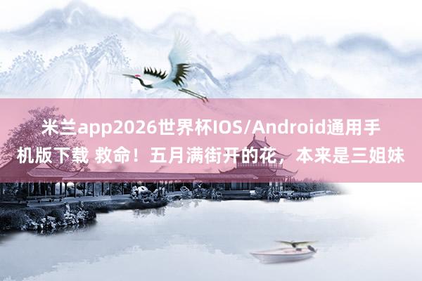 米兰app2026世界杯IOS/Android通用手机版下载 救命！五月满街开的花，本来是三姐妹