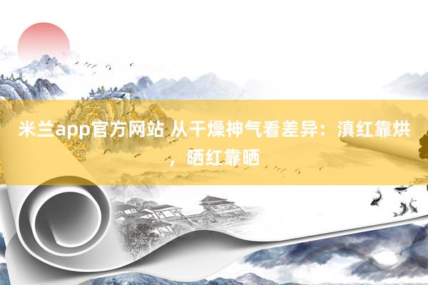 米兰app官方网站 从干燥神气看差异：滇红靠烘，晒红靠晒