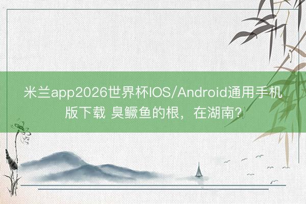 米兰app2026世界杯IOS/Android通用手机版下载 臭鳜鱼的根，在湖南?