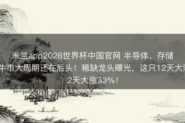米兰app2026世界杯中国官网 半导体、存储芯片的牛市大周期还在后头！稀缺龙头曝光，这只12天大涨33%！