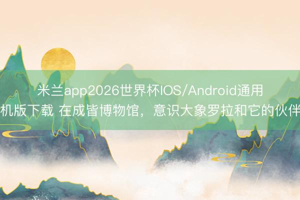 米兰app2026世界杯IOS/Android通用手机版下载 在成皆博物馆，意识大象罗拉和它的伙伴们