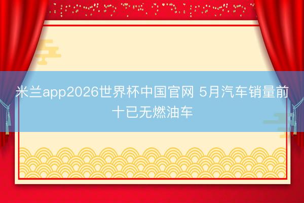 米兰app2026世界杯中国官网 5月汽车销量前十已无燃油车