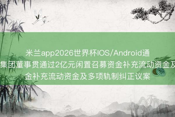 米兰app2026世界杯IOS/Android通用手机版下载 丰山集团董事贯通过2亿元闲置召募资金补充流动资金及多项轨制纠正议案