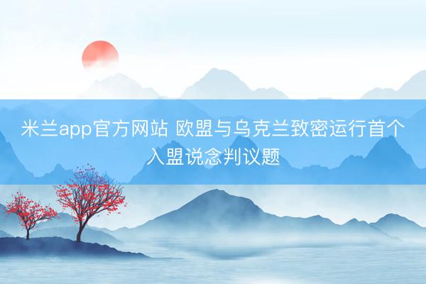 米兰app官方网站 欧盟与乌克兰致密运行首个入盟说念判议题