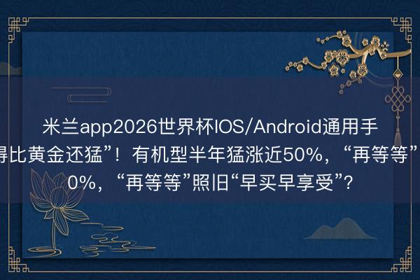 米兰app2026世界杯IOS/Android通用手机版下载 “电脑涨得比黄金还猛”！有机型半年猛涨近50%，“再等等”照旧“早买早享受”？